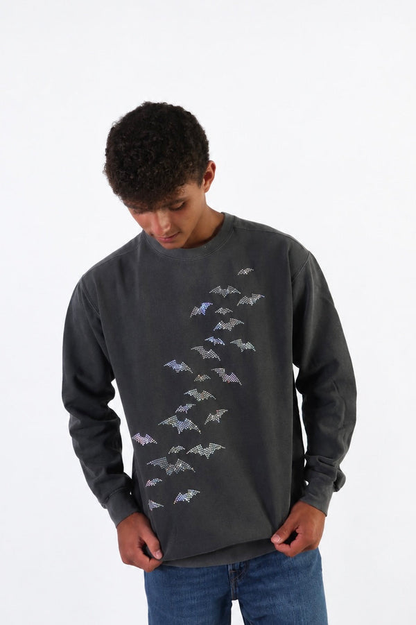 On Bat Behavior Crew Neck Pullover